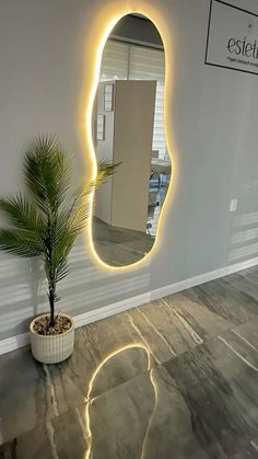 a potted plant sitting in front of a mirror on the side of a wall