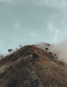 the top of a hill with trees on it and fog in the air behind it