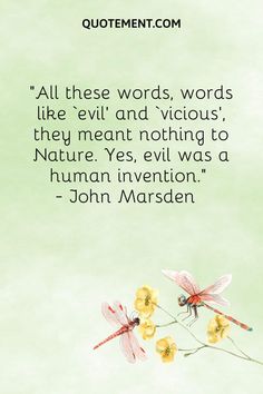 a quote from john marsden about words, words like evil and vicious they mean nothing to nature