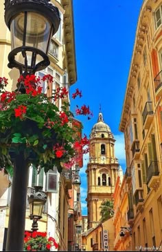 a street light with flowers growing on it and buildings in the background