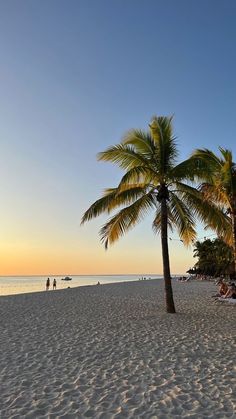 palm trees on the beach at sunset with people in the water and one person walking