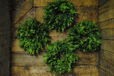 some green plants are arranged in the shape of a circle on a wooden table top