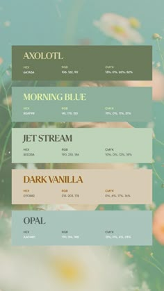 Creative Canva Design Ideas for Instagram Pear Color Palette, Floral Color Pallete, Cute Colour Pallete, Color Combinations Canva, Procreate Hex Codes, House Pallet Colors, Interior Design Palette Mood Boards, Hex Code Color Palette Google Calendar, Autumn Color Palette Analysis