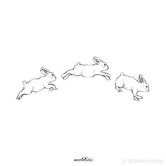 Bunny Tattoo, Cat Tattoo, Ink Art, Rabbits, Feline, Tattoo Designs, Essence