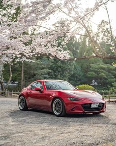 a red sports car parked in front of a tree with blossoming trees behind it