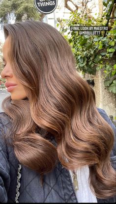 Lighter Brown Hair Color, Hazelnut Hair Color, Hazelnut Hair, Hair Slick, Hair Color Brown Chestnut, Brown Hair Inspiration, Golden Brown Hair Color, Natural Brown Hair