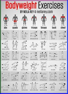 the bodyweight exercises chart shows how to do it