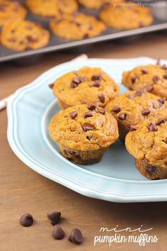 chocolate chip muffins on a blue plate next to baking pan with cookies in the background