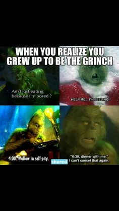 an image of the grin face with caption that reads, when you reazie you grew up to be the grinch