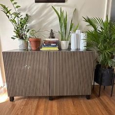 some plants are sitting on top of a cabinet