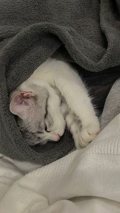 a cat sleeping in a blanket on top of a bed