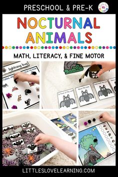 this is an image of nocturnnal animals math, literacy and fine motor