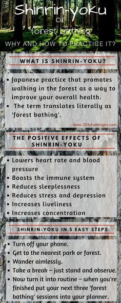 Eco Therapy, Forest Therapy, Japanese Practice, Shinrin Yoku, Nature Therapy, Japanese Forest, Nature Peace, Quotes Nature, Forest Bathing