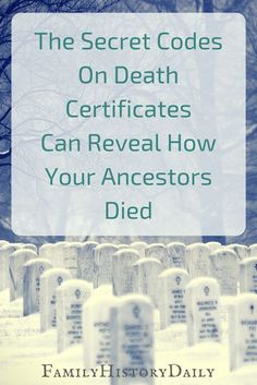 Bunnies Craft, Free Genealogy Sites, Family History Projects, Genealogy Organization, Family Tree Research, Genealogy Search, Genealogy Help, Ancestry Family Tree, Genealogy Websites