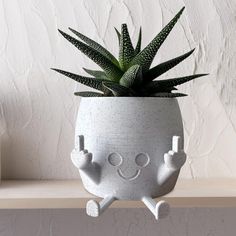 a potted plant sitting on top of a shelf