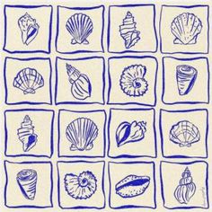 blue ink drawings of seashells on white paper