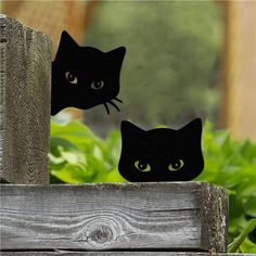 two black cats sitting on top of a wooden fence