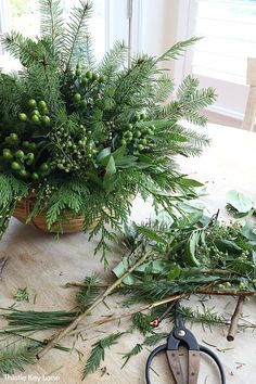 some plants and scissors on a table