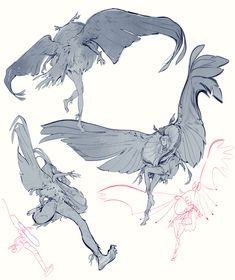 three different types of wings in various poses