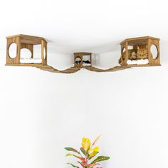 a potted plant sitting on top of a white table next to two wooden shelves