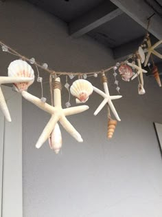 seashells and starfish hanging from a rope