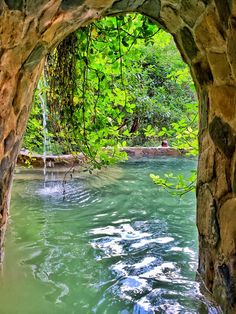 the water is green and flowing through an arch in a stone wall with trees growing over it