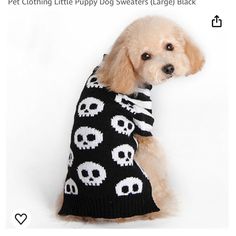 a dog wearing a sweater with skulls on it