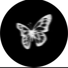 a black and white photo of a butterfly in the dark with light coming from it's wings