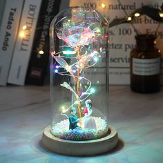 a glass dome with some lights in it on top of a table next to books