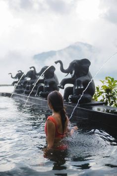 a woman is in the water with elephants on their back and behind her are fountains