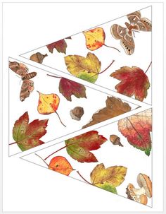 an image of autumn leaves and moths on white paper with orange, yellow, red and green colors