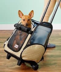 a small dog is sitting in a rolling suitcase