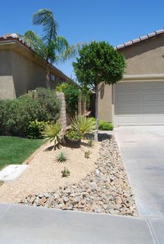 a house with landscaping in front of it and a palm tree on the other side