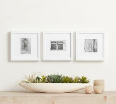 three black and white photographs hang on the wall above a bowl with succulents