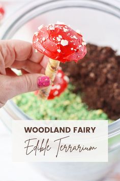 a hand holding a red and white mushroom lollipop with sprinkles