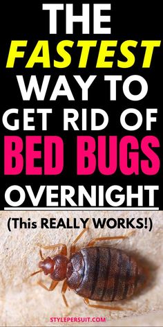 the fastest way to get rid of bed bugs overnight