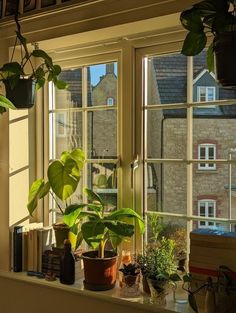 some plants are sitting on a window sill in front of the windowsills