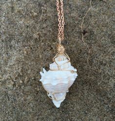 a white shell is hanging from a gold plated chain on a stone surface with grass and dirt in the background