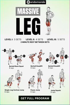 a poster showing the different muscles and how to use them for training, including exercises