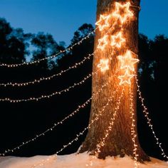 a large tree with lights on it in the snow