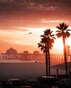 the sun is setting at the beach and palm trees are in front of the pier