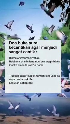 there are many birds flying in the sky above water and trees, with a sign that reads doa buka aura kecantikan agar meng gar menja sangra sangat cantik sanghat cantik