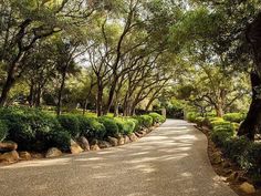 an empty road surrounded by lots of trees and bushes with rocks on each side, in the middle of a park