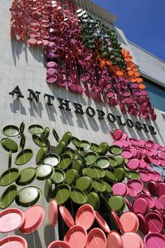 the outside of an anthrofoam store with lots of different colored plates on display