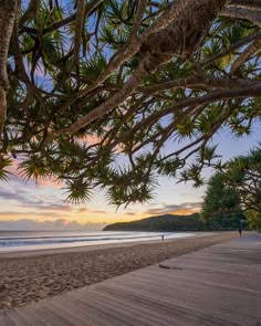 the beach is lined with palm trees as the sun sets