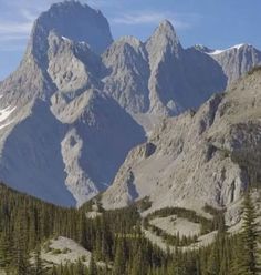 the mountains are covered in snow and pine trees