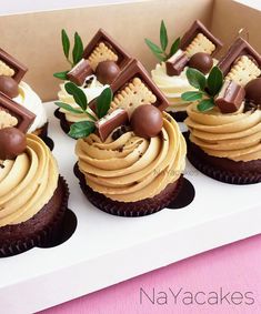 four cupcakes in a box with chocolate decorations on top and leaves sticking out of them