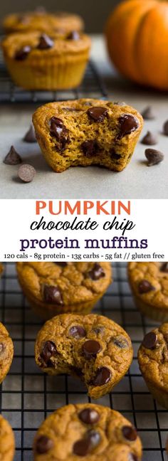 pumpkin chocolate chip protein muffins on a cooling rack