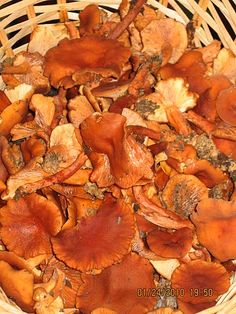 a basket filled with lots of brown mushrooms