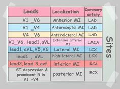 an image of the different types of lines and their corresponding names for each type of line